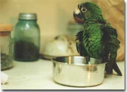 Meal Time!